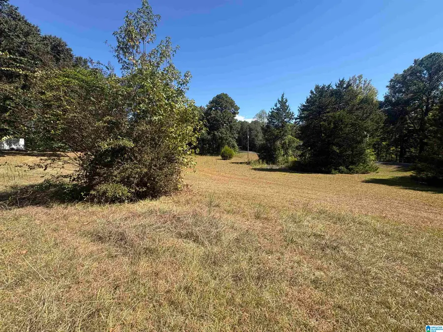 551 COUNTY ROAD 76, Clanton, AL 35045 - #2