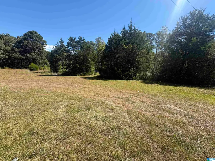 551 COUNTY ROAD 76, Clanton, AL 35045 - #3