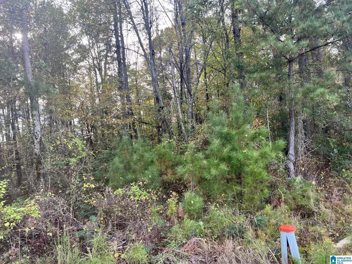 JONES ROAD, Alpine, AL 35014 - #1