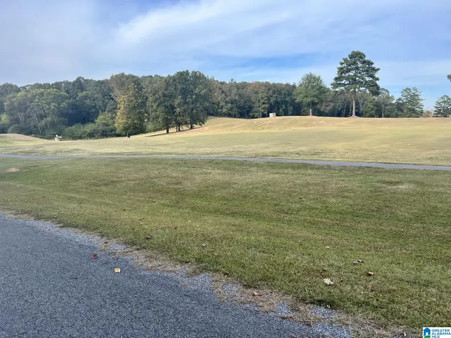 JONES ROAD, Alpine, AL 35014 - #2