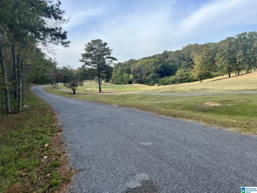 JONES ROAD, Alpine, AL 35014 - #3