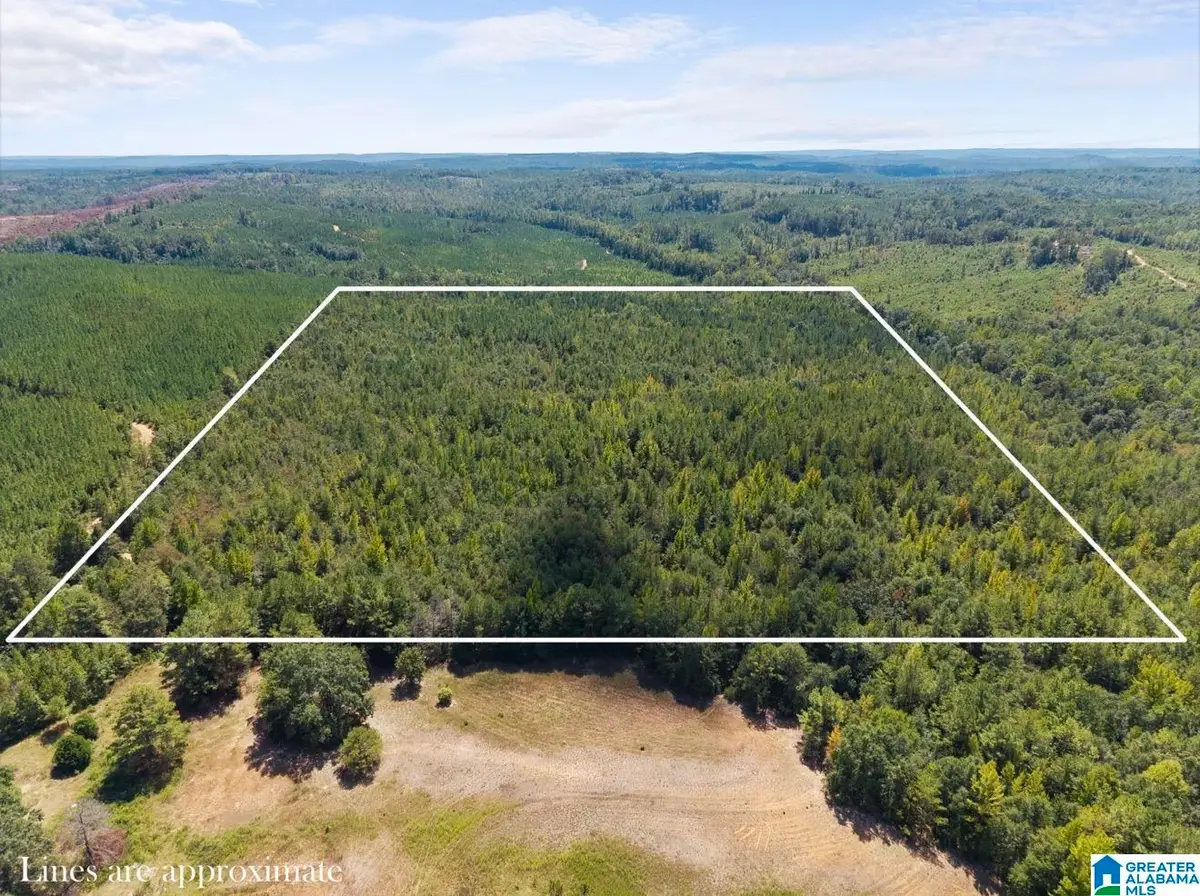 0 COUNTY ROAD 750, Plantersville, AL 36758 - #1