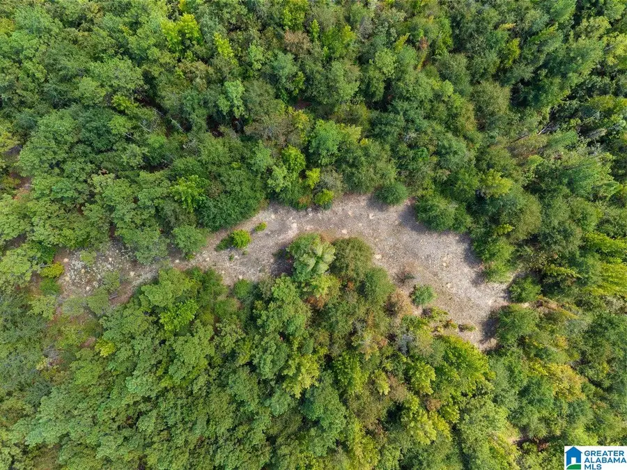 0 COUNTY ROAD 750, Plantersville, AL 36758 - #2