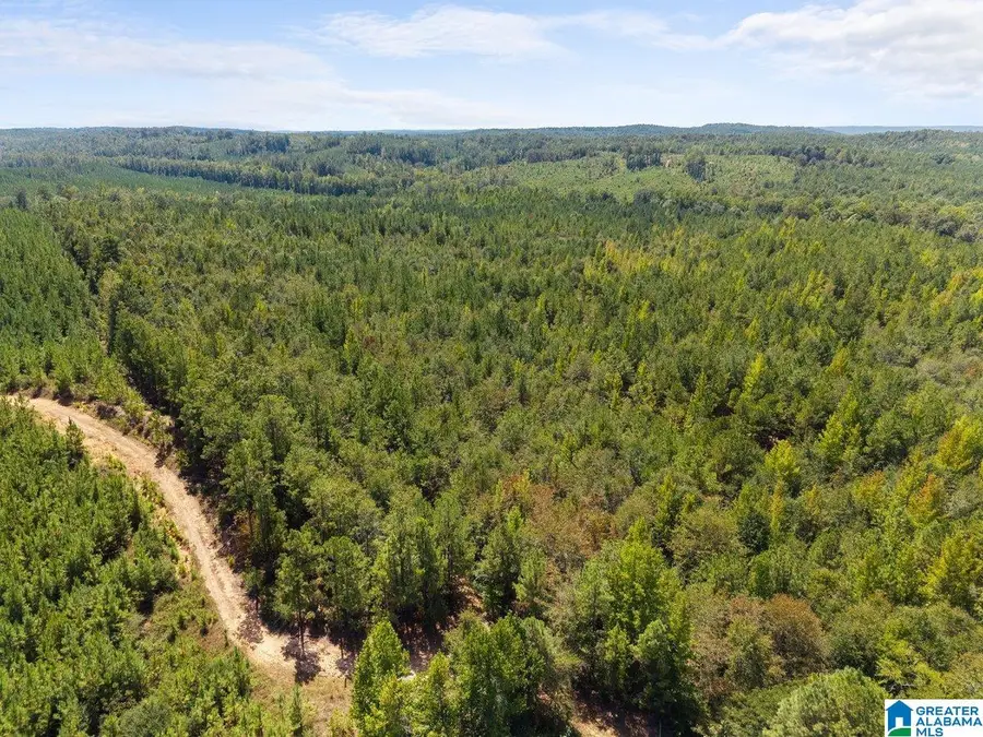0 COUNTY ROAD 750, Plantersville, AL 36758 - #3