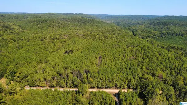 275 PENDLEY CREEK ROAD, Oakman, AL 35579