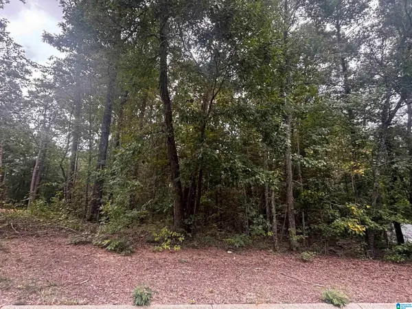 0 CORA LEE CIRCLE, Lakeview, AL 35111