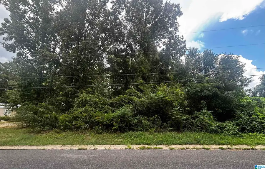 0 CORA LEE CIRCLE, McCalla, AL 35111 - #2