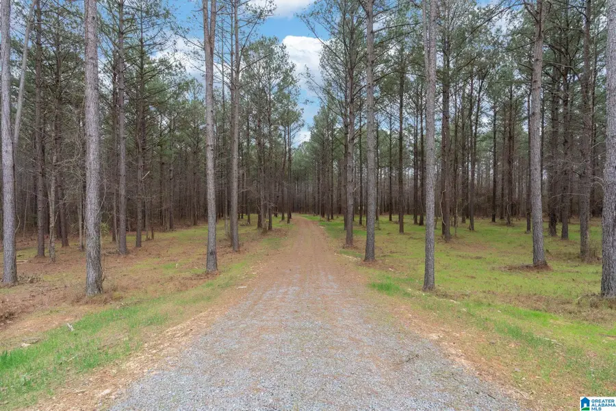 Lot #17 NORTHSIDE ROAD, Berry, AL 35546 - #2