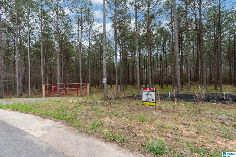 Lot #18 NORTHSIDE ROAD, Berry, AL 35546 - #2