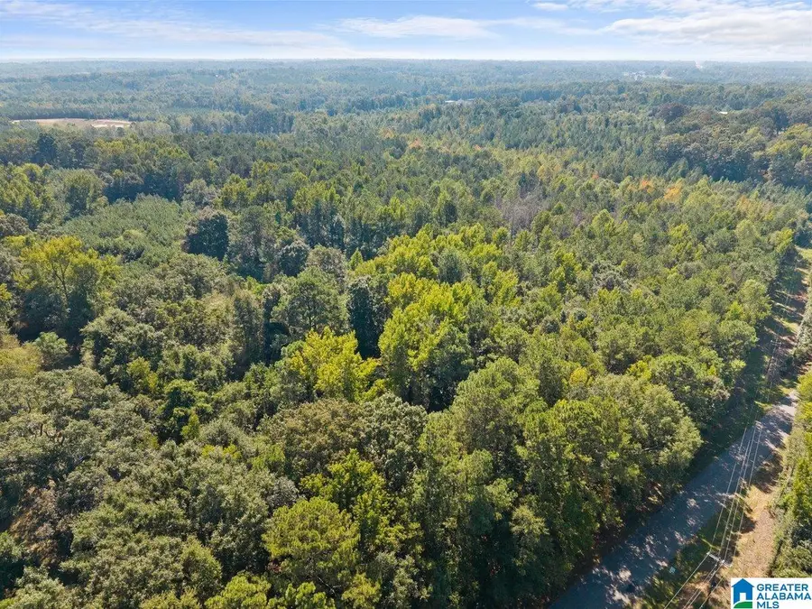 0 COUNTY ROAD 51, Clanton, AL 35046 - #2