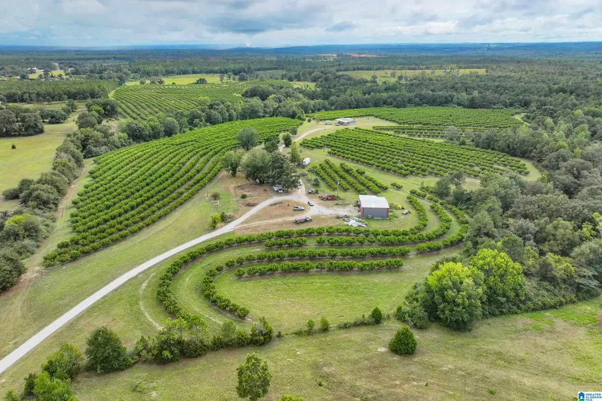 13610 COUNTY ROAD 37, Clanton, AL 35045 - #1