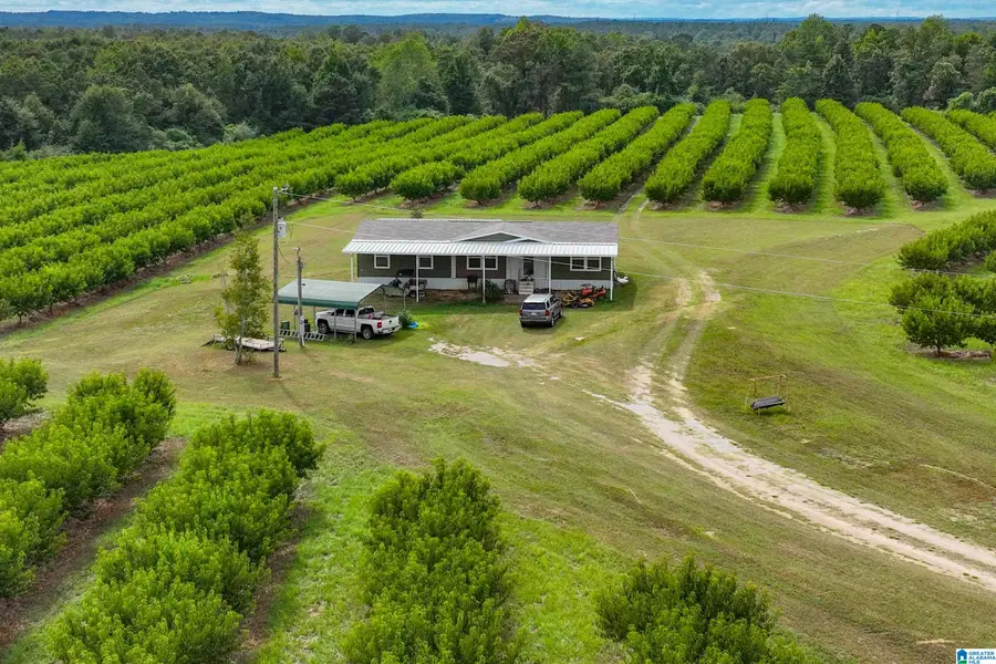 13610 COUNTY ROAD 37, Clanton, AL 35045 - #2