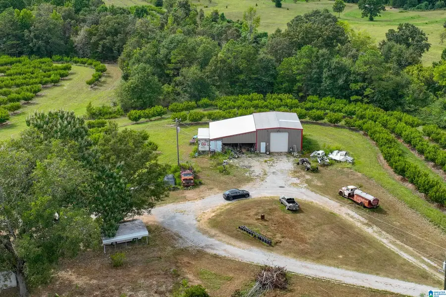 13610 COUNTY ROAD 37, Clanton, AL 35045 - #3