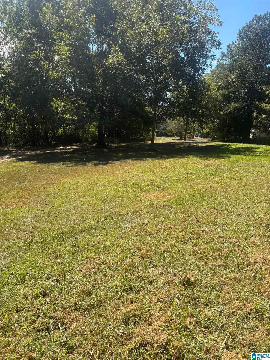 390 OLD MACEDONIA ROAD, Ragland, AL 35131 - #2