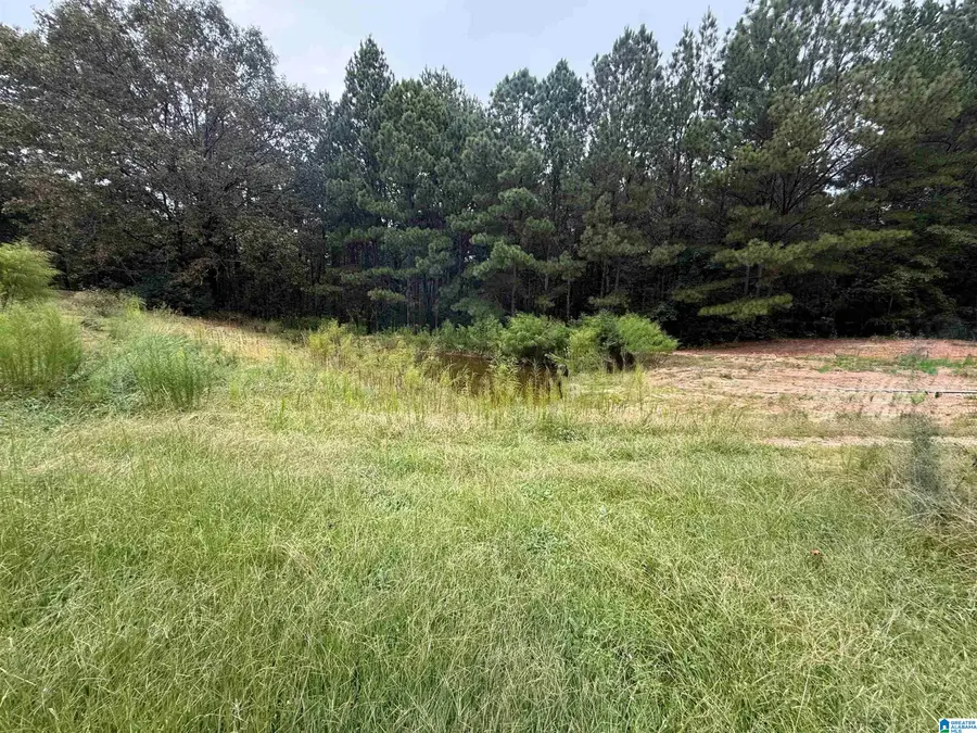 76 SLEEPY HOLLOW ROAD, Hayden, AL 35079 - #2