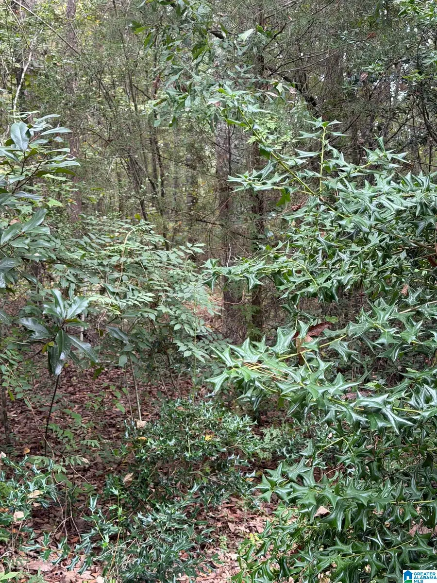 0 DEARMANVILLE ROAD, Anniston, AL 36207 - #2