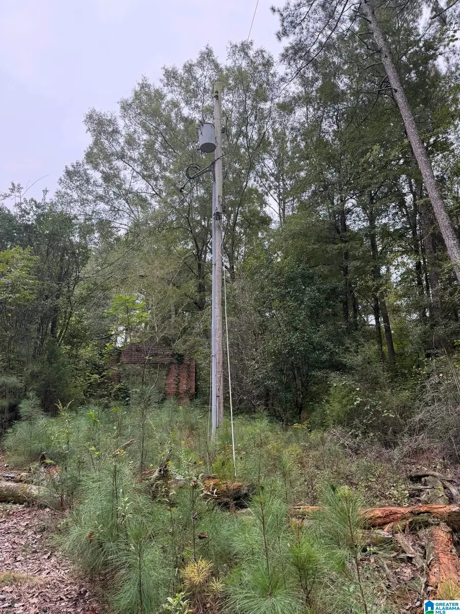 0 DEARMANVILLE ROAD, Anniston, AL 36207 - #3