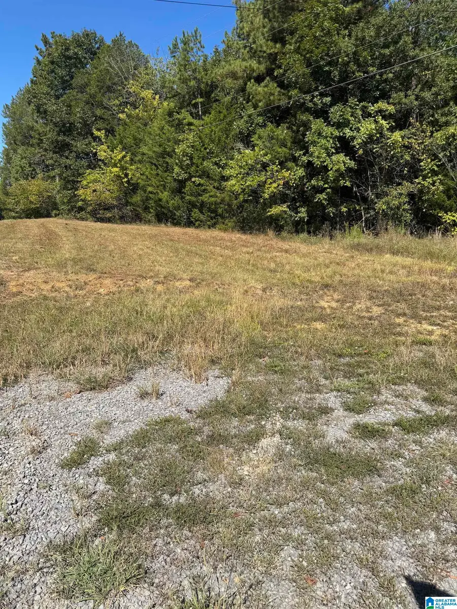 0 US HWY 231, Ashville, AL 35953 - #2