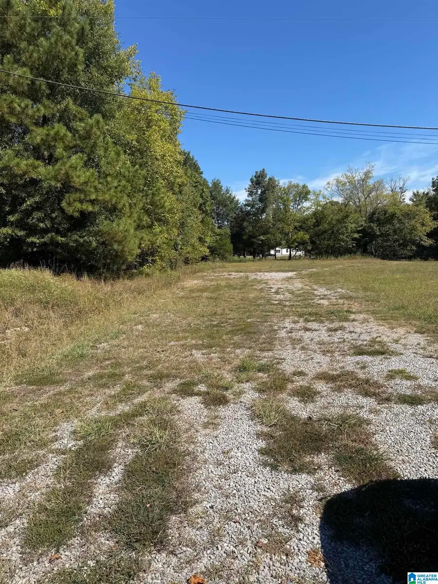 0 US HWY 231, Ashville, AL 35953 - #3