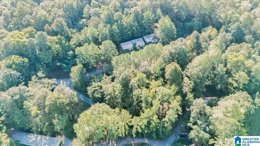 29 PIONEER DRIVE, Montevallo, AL 35115 - #2