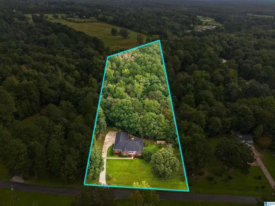 380 MYRICK ROAD, Warrior, AL 35180 - #3