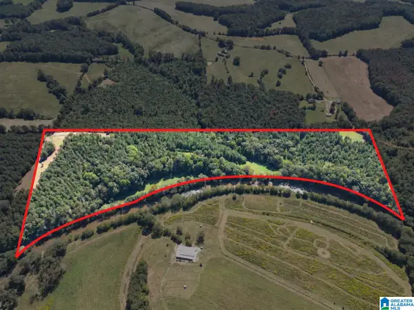 40+/- Acres COUNTY ROAD 457, Woodland, AL 36280
