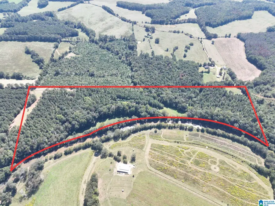 40+/- Acres COUNTY ROAD 457, Woodland, AL 36280 - #2