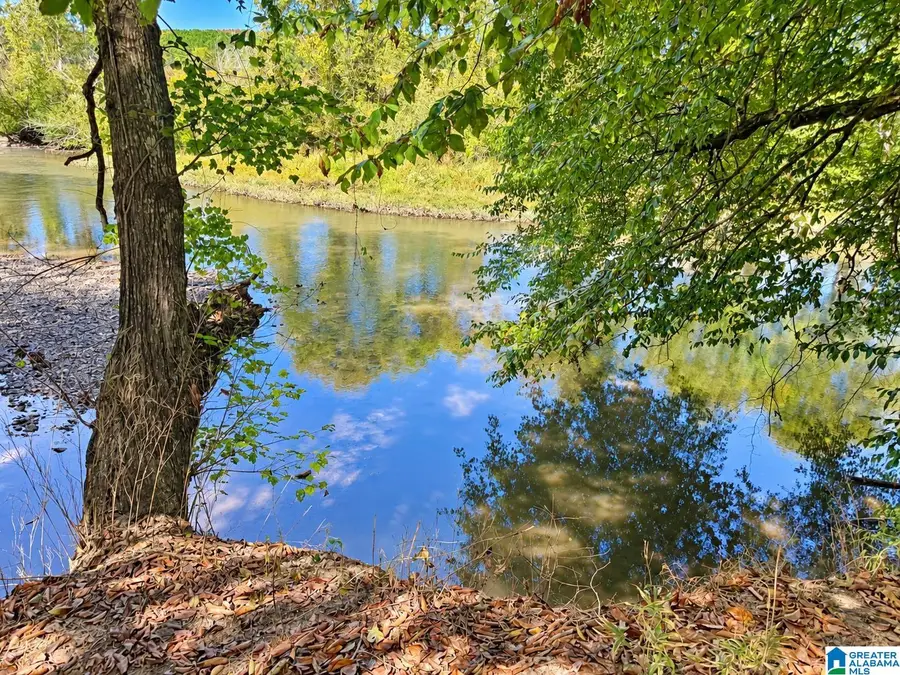 40+/- Acres COUNTY ROAD 457, Woodland, AL 36280 - #3