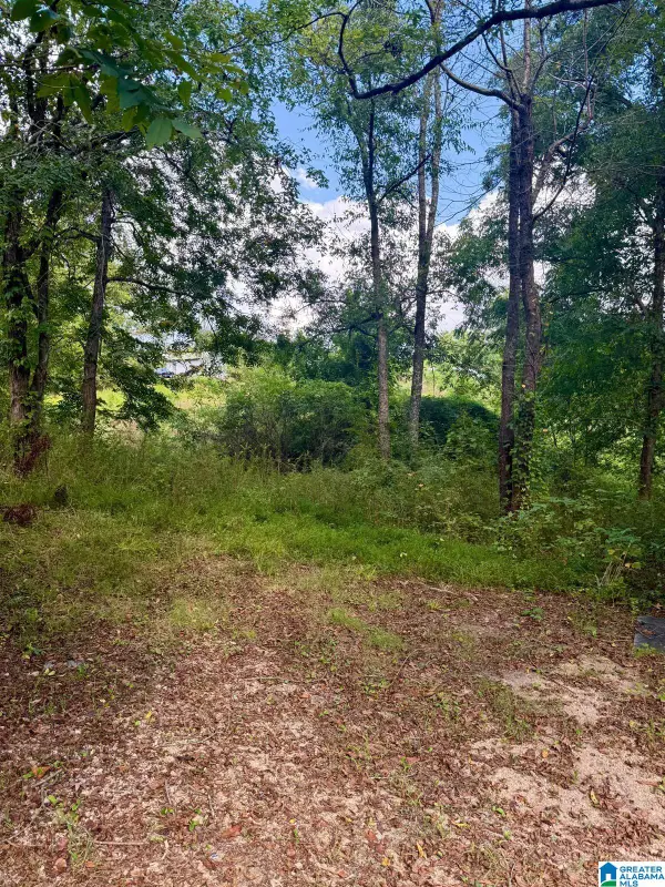 7526 CAHABA AVENUE, Leeds, AL 35094