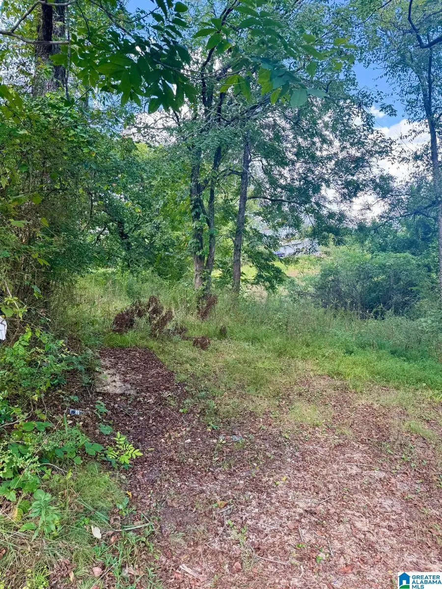 7526 CAHABA AVENUE, Leeds, AL 35094 - #3
