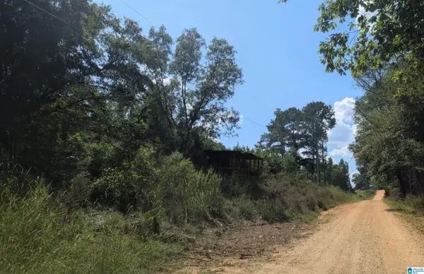 00 COUNTY ROAD 163, Jemison, AL 35085