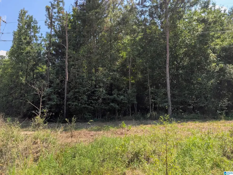 00 COUNTY ROAD 163, Jemison, AL 35085 - #2