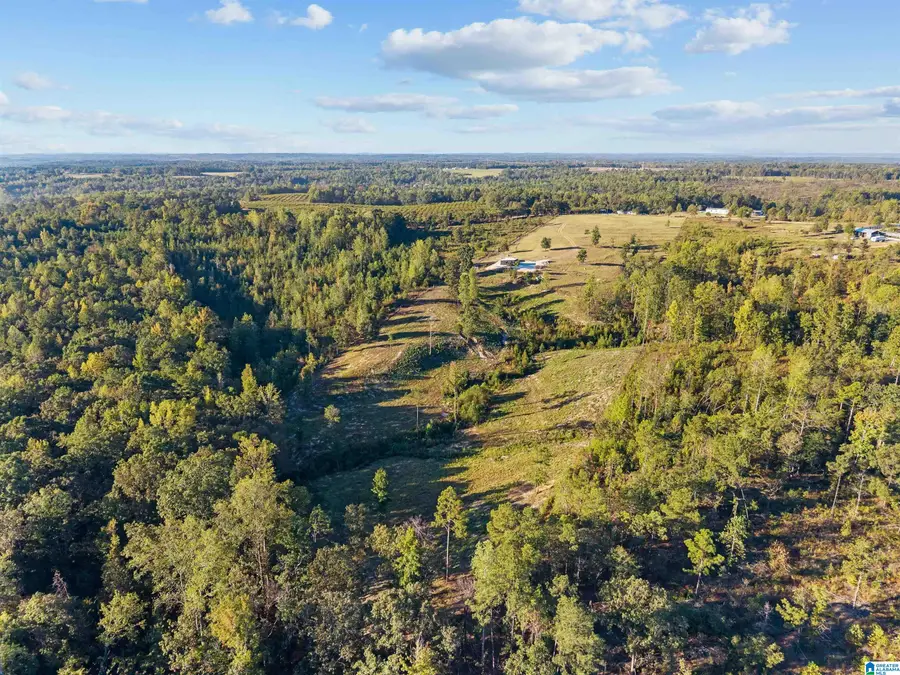 0 Road COUNTY ROAD 341, Maplesville, AL 36750 - #2