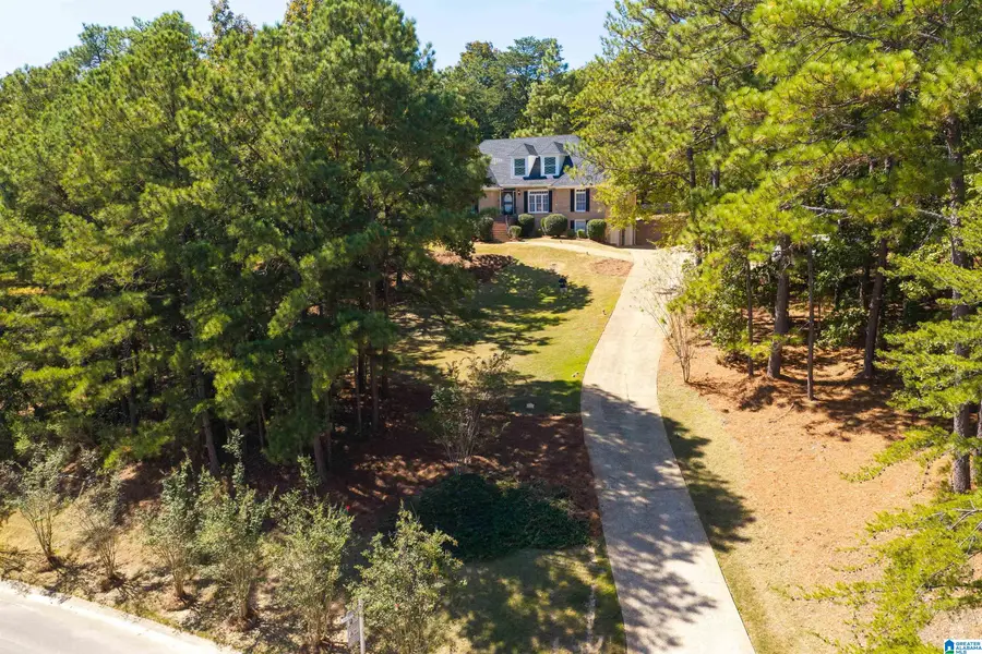 3008 BROOKHILL DRIVE, Birmingham, AL 35242 - #2