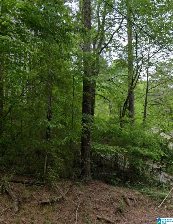 1722 BIG MOUNTAIN DRIVE, Birmingham, AL 35235