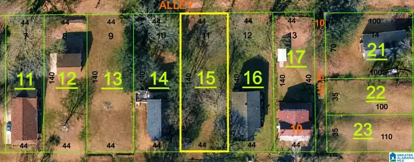 917 W 19TH STREET, Anniston, AL 36201