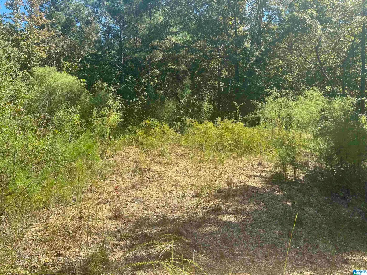 Lot 4 MILL CREEK ROAD, Nauvoo, AL 35578 - #1