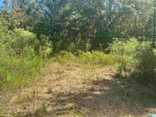 Lot 4 MILL CREEK ROAD, Nauvoo, AL 35578