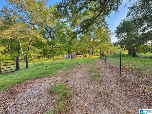 0 COUNTY ROAD 319, Stanton, AL 36790