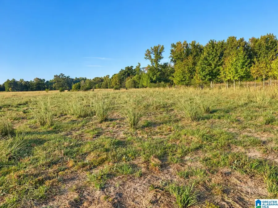 0 COUNTY ROAD 319, Stanton, AL 36790 - #3