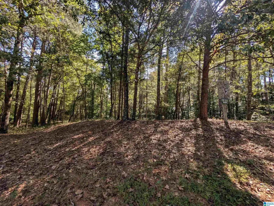 4809 LAUREL TRACE, Anniston, AL 36207 - #2