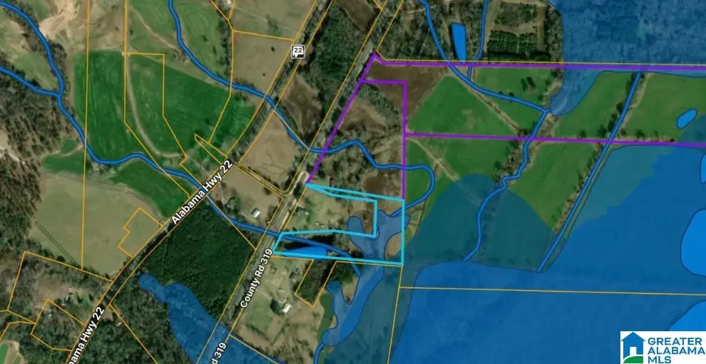 0 COUNTY ROAD 319, Stanton, AL 36790 - #1