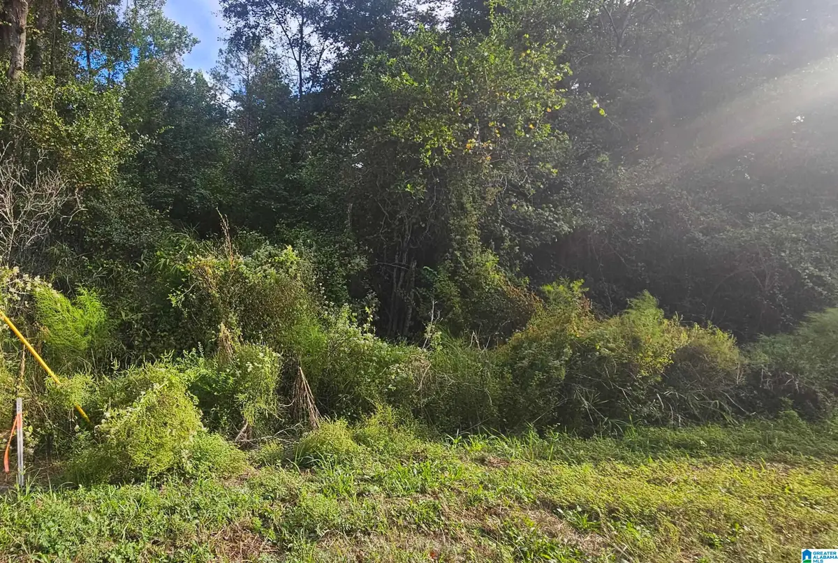 17 VALLEY CROSSING, Valley Grande, AL 36703 - #1