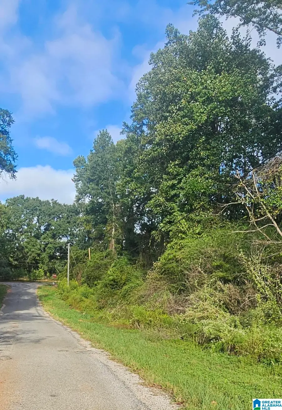 17 VALLEY CROSSING, Valley Grande, AL 36703 - #2