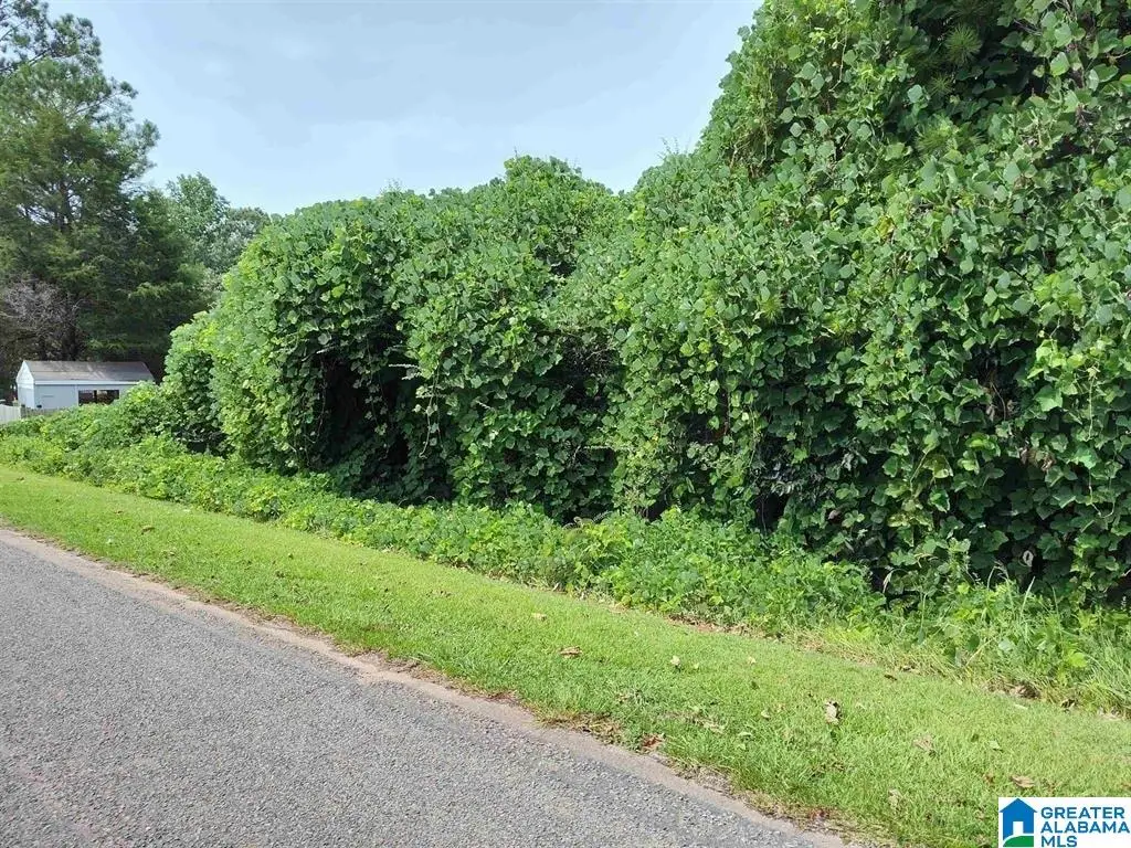 0 HOLLINS CIRCLE, Goodwater, AL 35072 - #1