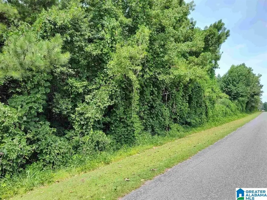 0 HOLLINS CIRCLE, Goodwater, AL 35072 - #3