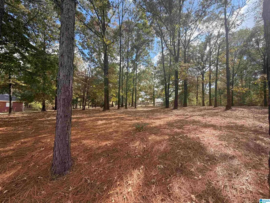 5774 DANA CIRCLE, McCalla, AL 35111 - #2