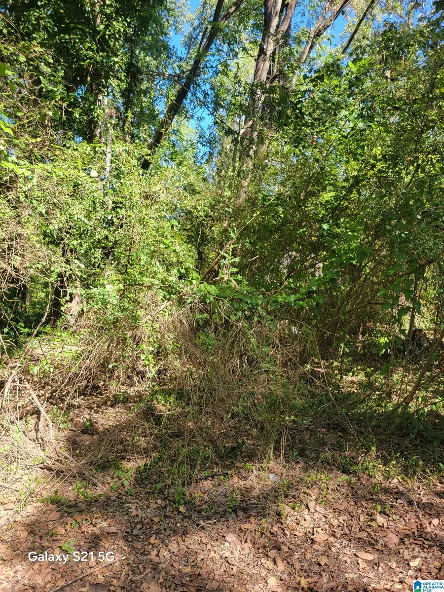 0 DECEMBER DRIVE, Forestdale, AL 35214 - #2