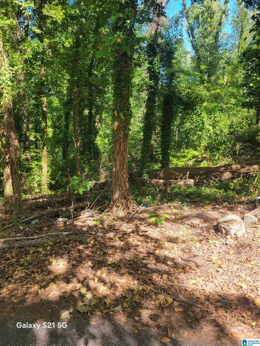 0 DECEMBER DRIVE, Forestdale, AL 35214 - #3