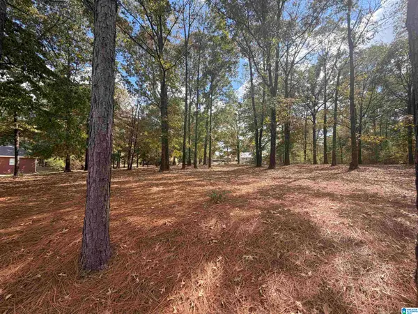 5786 DANA CIRCLE, Mccalla, AL 35111
